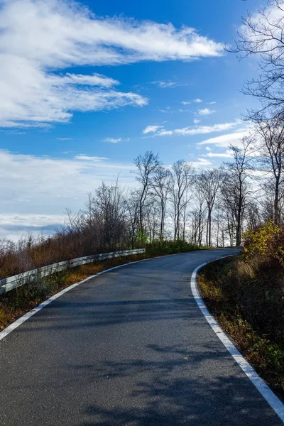 Colpo Verticale Una Stretta Strada Che Conduce Alla Montagna Medvednica — Foto Stock