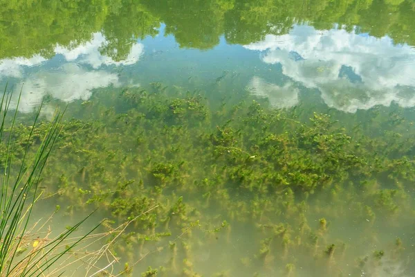 Beau Cliché Grand Angle Paysage Vert Qui Reflète Dans Lac — Photo