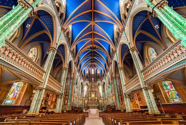 Uma Foto Baixo Ângulo Interior Basílica Catedral Notre Dame Ottawa — Fotografia de Stock