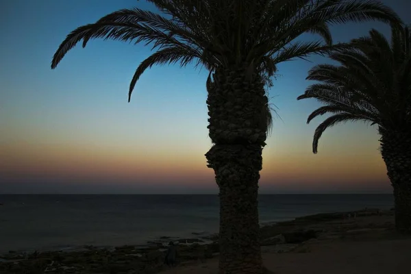 Uma Silhueta Belas Palmeiras Praia Perto Mar Durante Pôr Sol — Fotografia de Stock