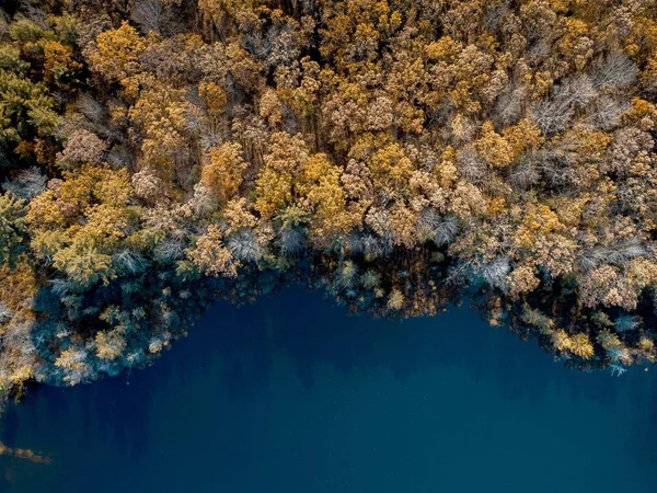 An aerial shot of a forest near the sea - great for background or a blog