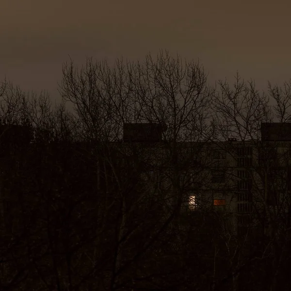 夕暮れ時に手前に裸の木のある高層マンション — ストック写真