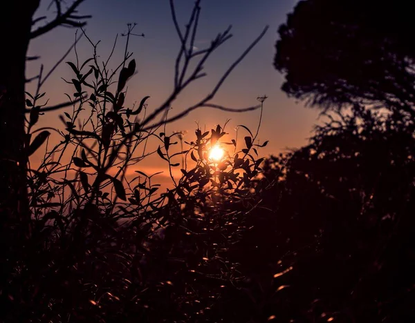 Tiro Tirar Fôlego Belo Pôr Sol Criando Cores Mais Bonitas — Fotografia de Stock