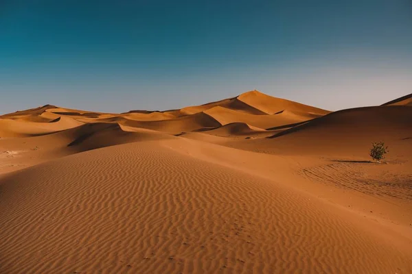 Μια Όμορφη Θέα Της Ήρεμης Ερήμου Κάτω Από Τον Καθαρό — Φωτογραφία Αρχείου