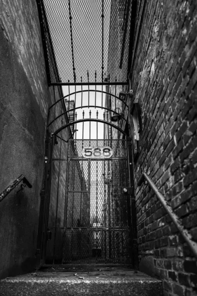 Vertical Grayscale Shot Metal Gate Secret Corner City — 스톡 사진