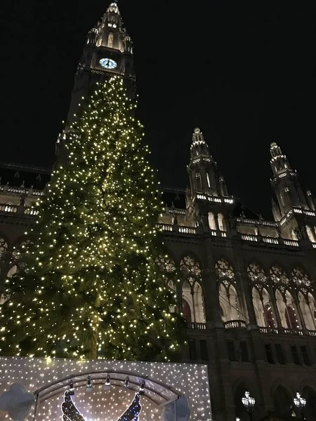 Vertical low angle shot of the illuminated Christmas tree in the Vienna Rathaus on black background