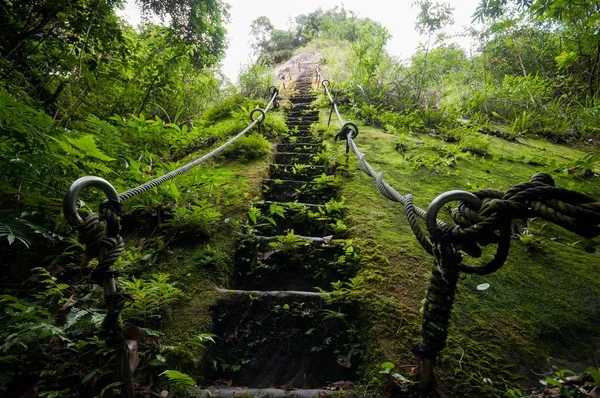 Чудовий Краєвид Пінсі Скелі Тайвані Бетонними Сходами Товстими Зеленими Деревами — стокове фото