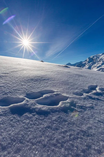 Vertical Shot Sun Brightly Shining Winter Wonderland Sainte Foy French — Stock Photo, Image