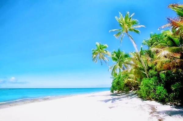 Захватывающий Снимок Солнечного Пляжа Пальмами Островах Фиджи — стоковое фото