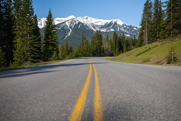 Low Angle Shot Highway Surrounded Forest Snowy Mountains Background Adventures — ストック写真