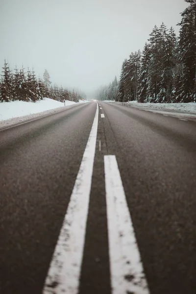 Verticale girato una strada infinita circondata da alberi nella neve catturato in Svezia — Foto Stock