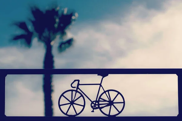 Силуэт Велосипеда Фиксированной Передачей Пальмой Размытом Фоне — стоковое фото