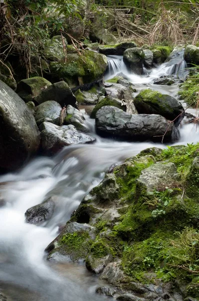 Eine Wunderschöne Landschaft Mit Einem Mächtigen Wasserfall Wald Der Nähe — Stockfoto
