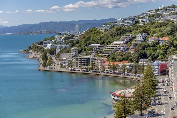 Wellington Nouvelle Zélande Nouvelle Zélande Février 2017 Baie Orientale Wellington — Photo