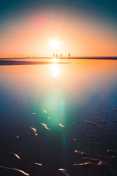 Plano Vertical Del Reflejo Del Sol Playa Capturado Vrouwenpolder Países — Foto de Stock