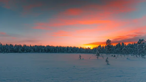 Ein Schöner Blick Auf Die Schneebedeckten Bäume Bei Sonnenaufgang Finnland — Stockfoto