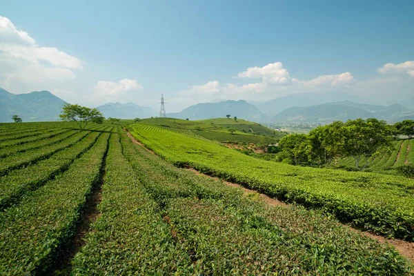 Prachtig groen landschap omringd door hoge bergen onder de bewolkte hemel — Stockfoto