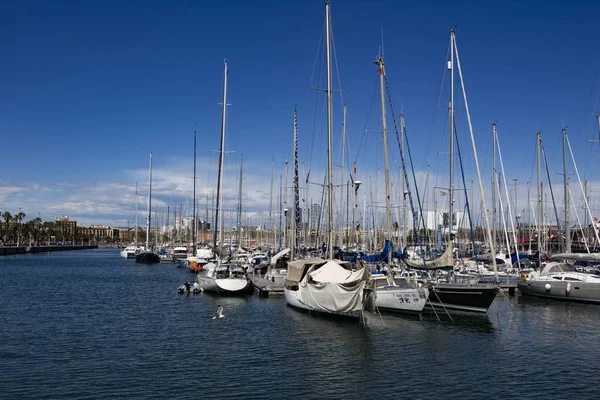 Krásný výhled na plachetnice u přístavu pod jasně modrou oblohou — Stock fotografie