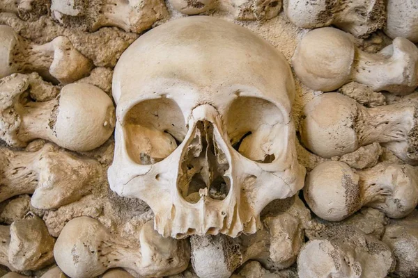 Closeup shot of a single creepy skull in a skeleton chapel — Stock Photo, Image