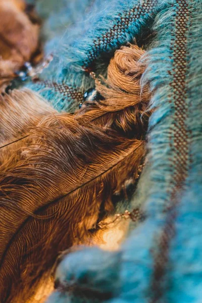 茶色と青のふわふわの装飾羽の垂直ショット — ストック写真