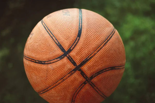 Detailní Záběr Basketbalu Stromy Pozadí — Stock fotografie