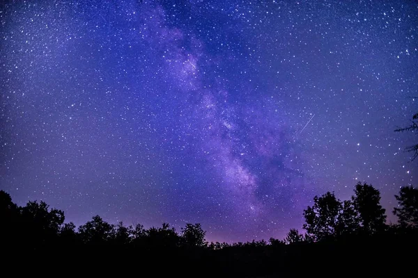 背景には星がちりばめられた濃い紫と青の空の木々のシルエット — ストック写真
