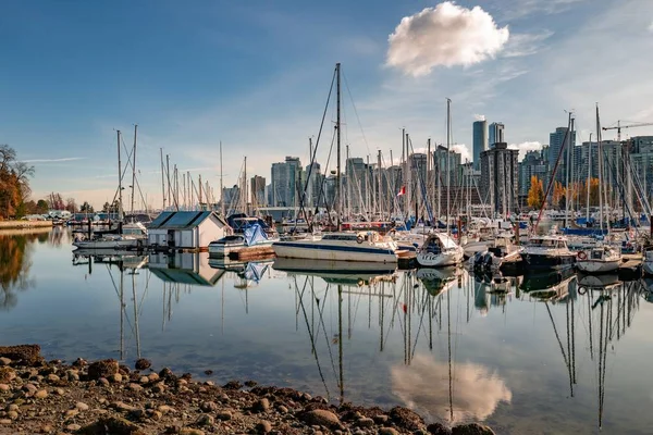 Vancouver Kanada Listopadu 2019 Krásný Záběr Lodě Zaparkované Uhelného Přístavu — Stock fotografie