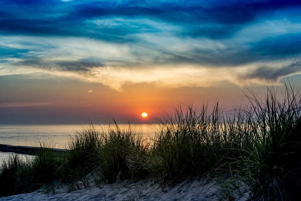 Ein Schöner Schuss Gras Meer Mit Der Sonne Der Ferne — Stockfoto