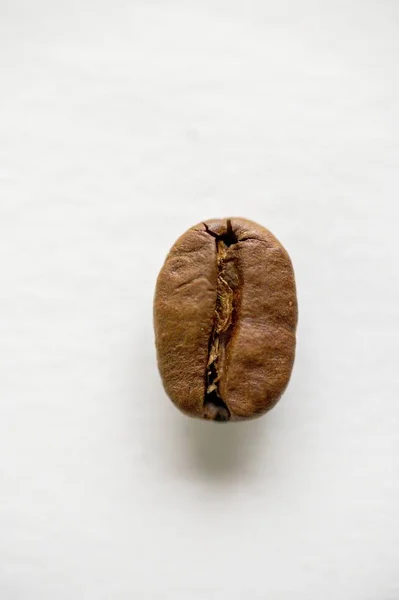 在白色表面上一张咖啡豆的垂直特写照片 很好的背景 — 图库照片