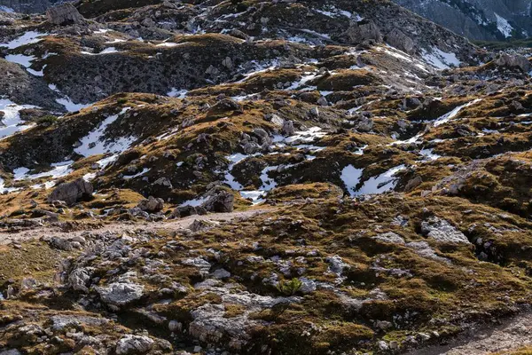 Magas Szögű Lövés Föld Textúrák Olasz Alpokban — Stock Fotó