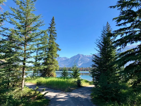 Beautiful Scenery Green Fir Trees Lake High Rocky Mountains Background — ストック写真