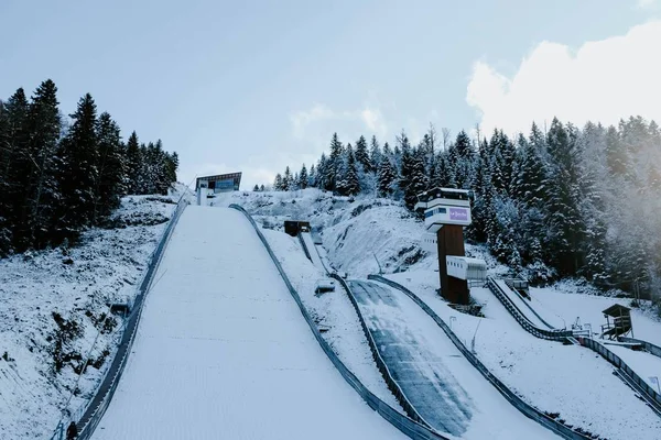Schöne Aussicht Auf Die Schneebedeckte Skipiste Die Von Kiefern Umgeben — Stockfoto
