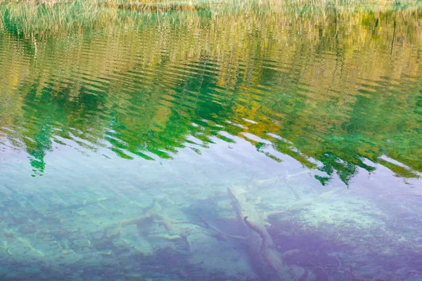 在克罗地亚普里特维奇湖清澈的湖面上反射出树木的光芒 — 图库照片