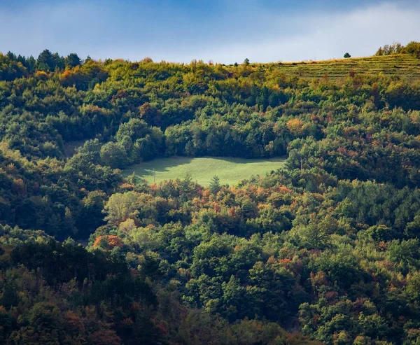 克罗地亚伊斯特拉山区的美丽风景和森林的高角镜头 — 图库照片