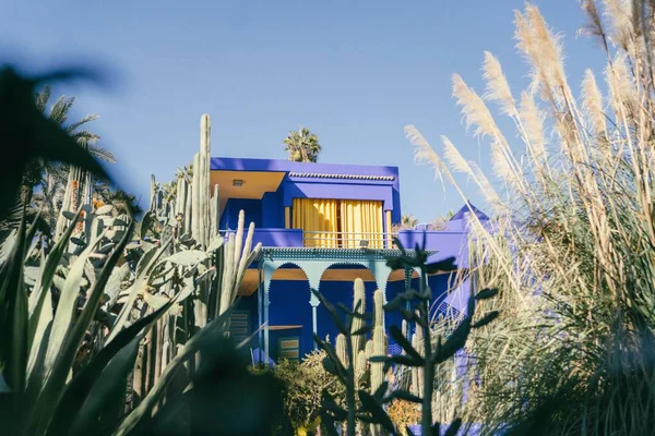 Famous Historical Jardin Majorelle Museum Marrakesh Morocco Botanical Garden — Stock Photo, Image