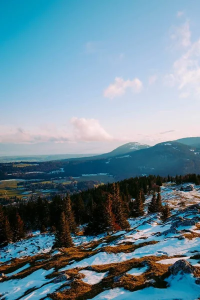 背景の山と雪に覆われた丘の上の木の垂直ショット — ストック写真