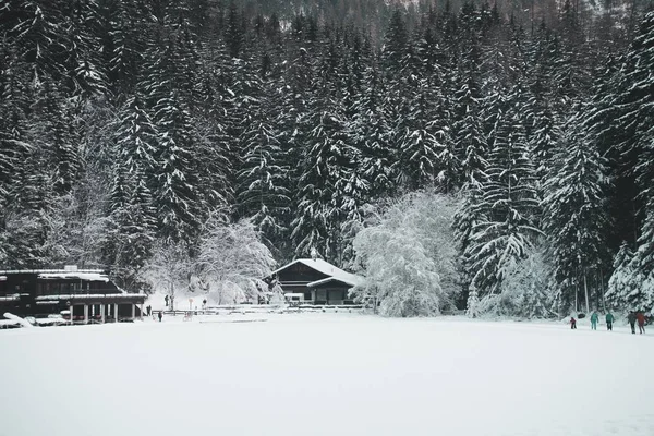 在雪地上 房子的美丽景象 后面是高大的松树 — 图库照片