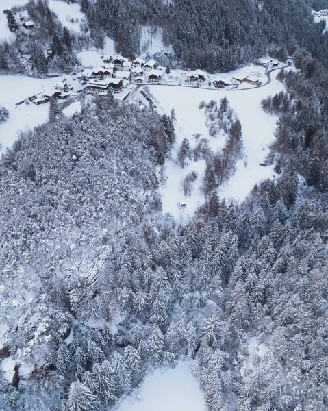 雪に囲まれた家の空中ショットは フィールド上の松の木をカバー — ストック写真