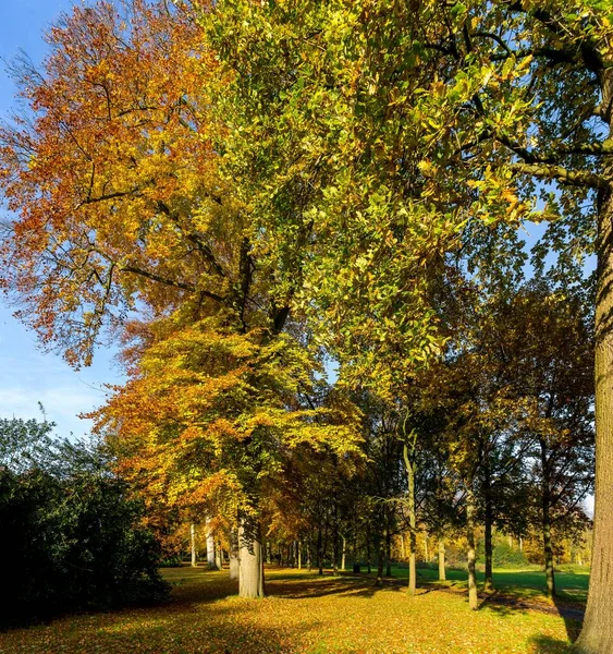 Colores Otoñales Parque Steenvoorde Rijswijk Haya —  Fotos de Stock