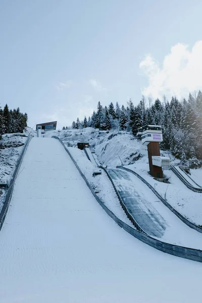 Eine Vertikale Aufnahme Der Wunderschönen Schneebedeckten Skipiste Die Von Kiefern — Stockfoto