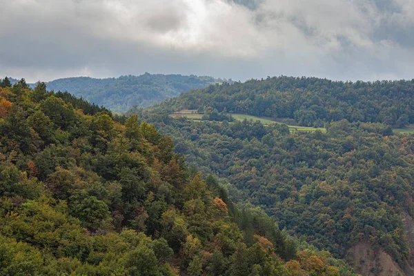 Eine Hochauflösende Aufnahme Der Schönen Landschaft Istrien Kroatien Unter Bewölktem — Stockfoto