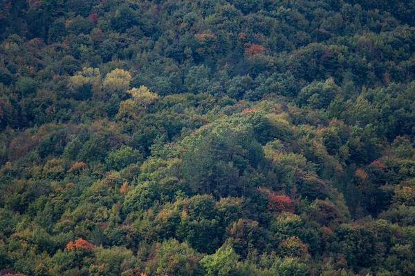 Eine Hochauflösende Aufnahme Der Schönen Landschaft Istrien Kroatien — Stockfoto