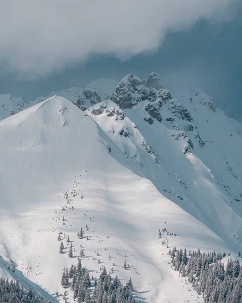 Güzel Karla Kaplı Dağ Zirvelerinin Dikey Görüntüsü — Stok fotoğraf
