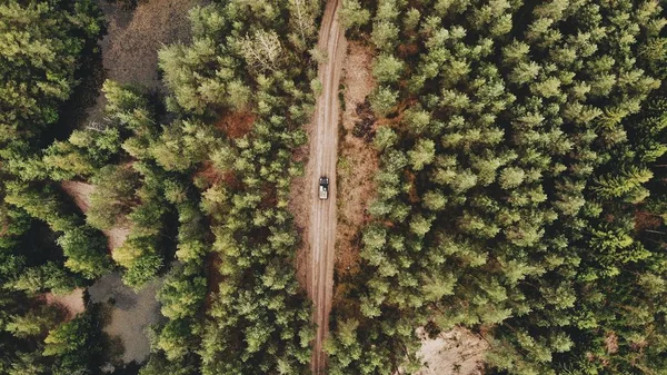 Воздушный Кадр Автомобиля Движущегося Тропинке Посреди Зеленого Леса — стоковое фото