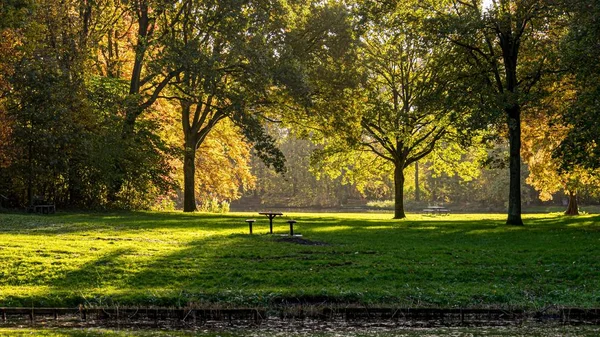 Herbstlicht Morgen Haagse Bos Park Den Haag — Stockfoto