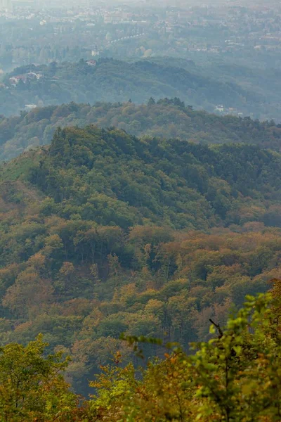 Vertical High Angle Shot Autumn Forest Mountain Medvednica Zagreb Croatia — Stock Photo, Image