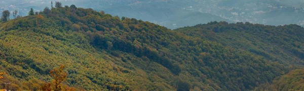 Panoráma Felvétel Erdő Ősszel Hegy Medvednica Zágráb Horvátország — Stock Fotó