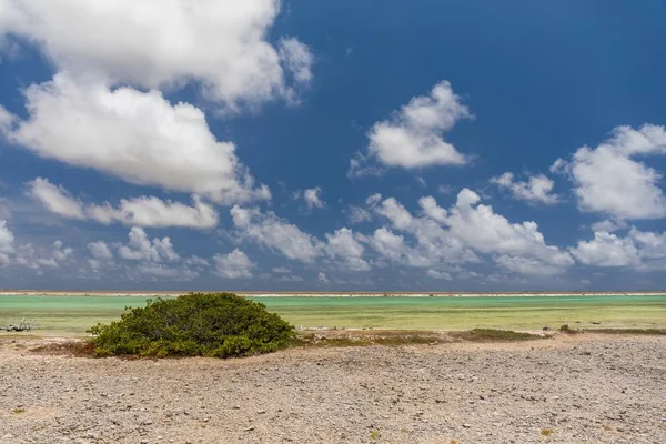 Krásná scenérie tropické exotické pláže v solných pánvích. Bonaire, Karibik — Stock fotografie