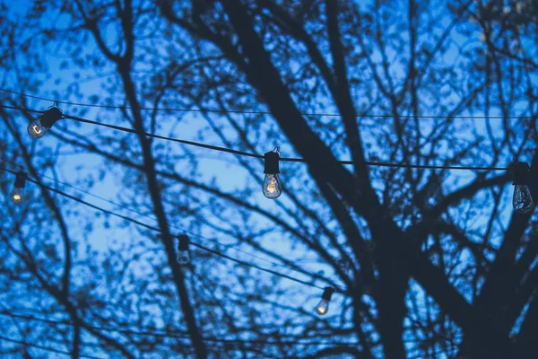Bombillas de calle festivas débilmente iluminadas que cuelgan de los cables afuera en un parque durante la noche azul — Foto de Stock