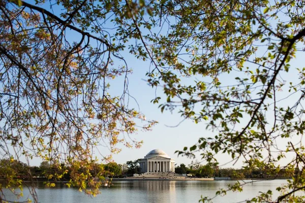 Jefferson Memorial obklopený vodou a zelení pod modrou oblohou ve Washingtonu — Stock fotografie